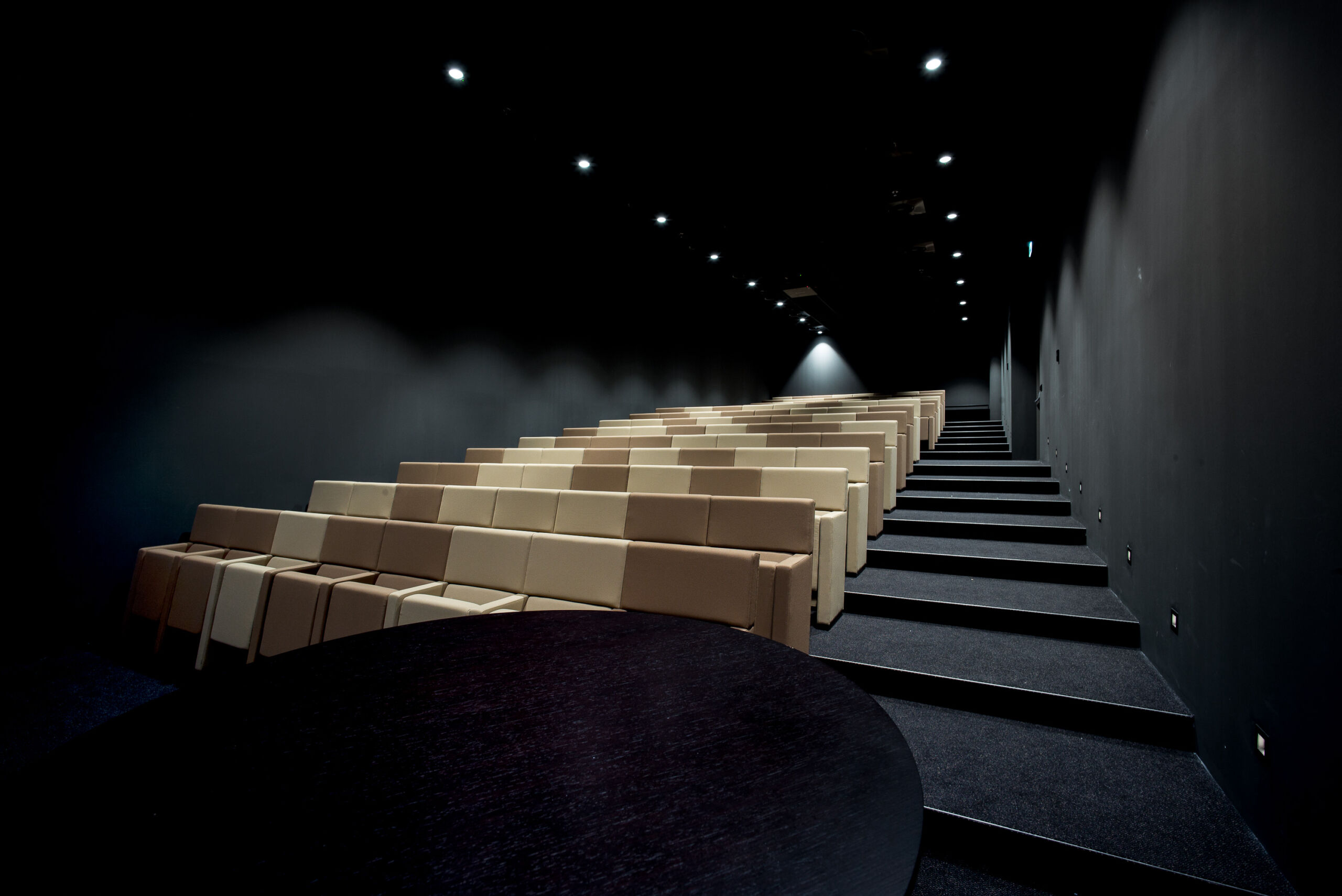 ZALEN – AUDITORIUM – TS-20200921-Atrium_Onemeeting-112